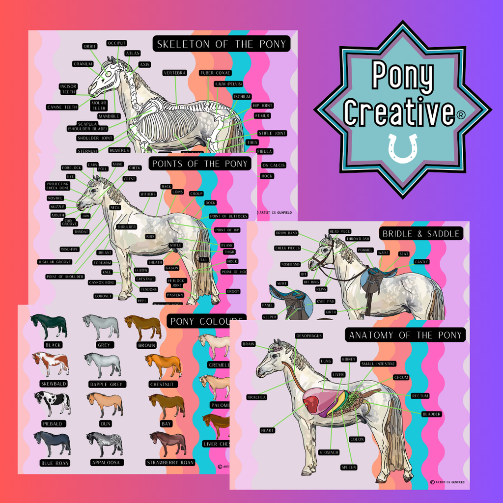 Pony Creative Posters - Wholesale
