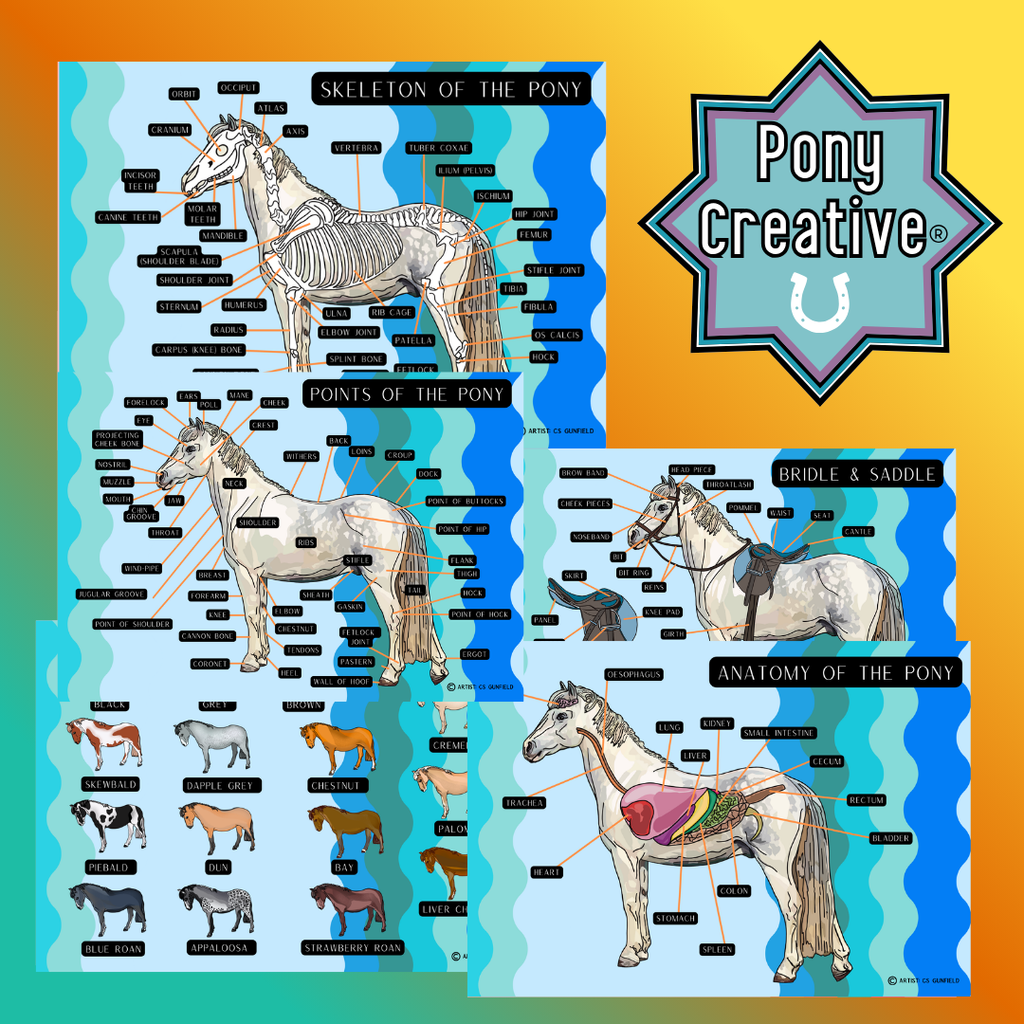 Pony Creative Posters - Wholesale