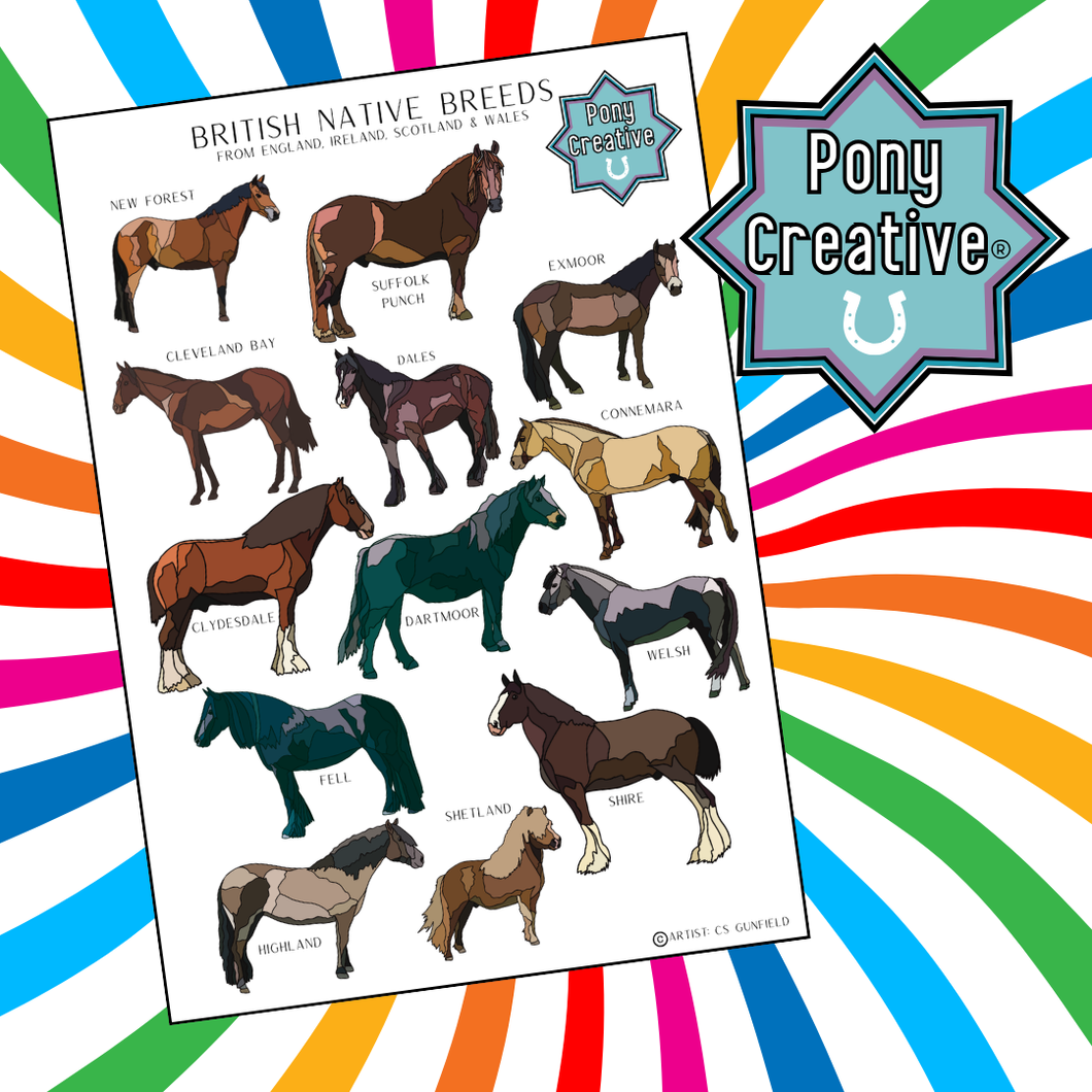 Pony Creative - Native Breeds Poster
