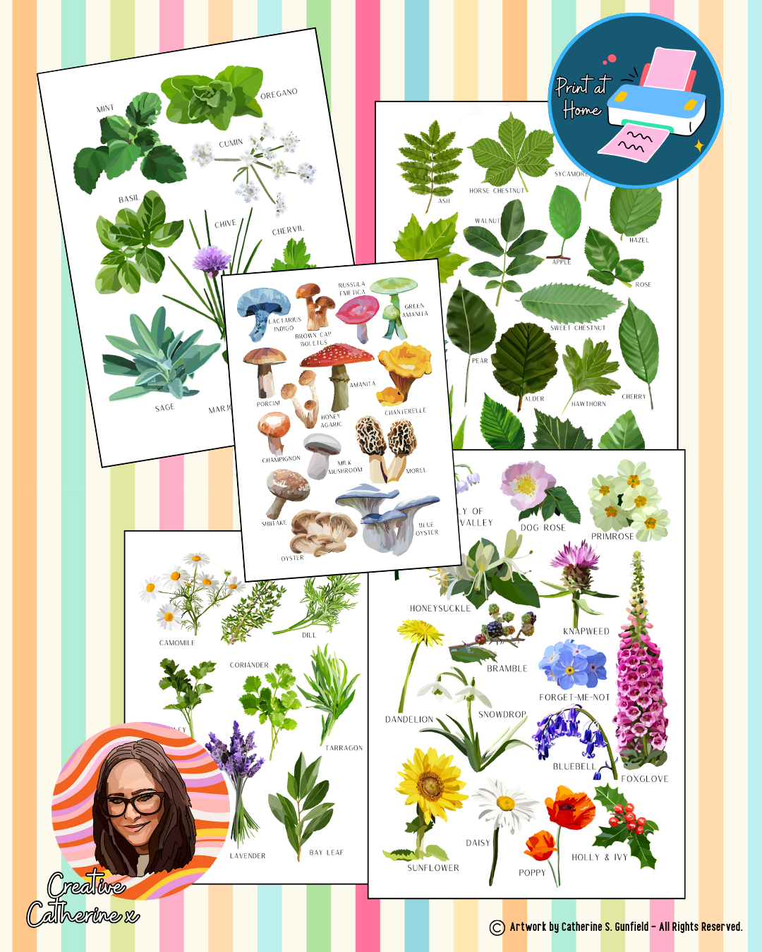 Learning Floral & Nature Set