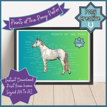 Load image into Gallery viewer, Pony Creative - Points of the Pony Poster
