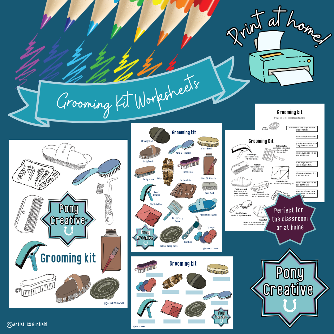 Pony Creative - Grooming Kit Revision Pack