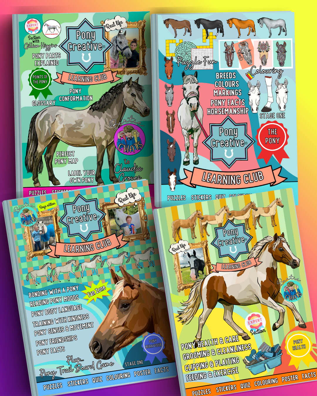 Pony Creative Learning Club: Previous Topics