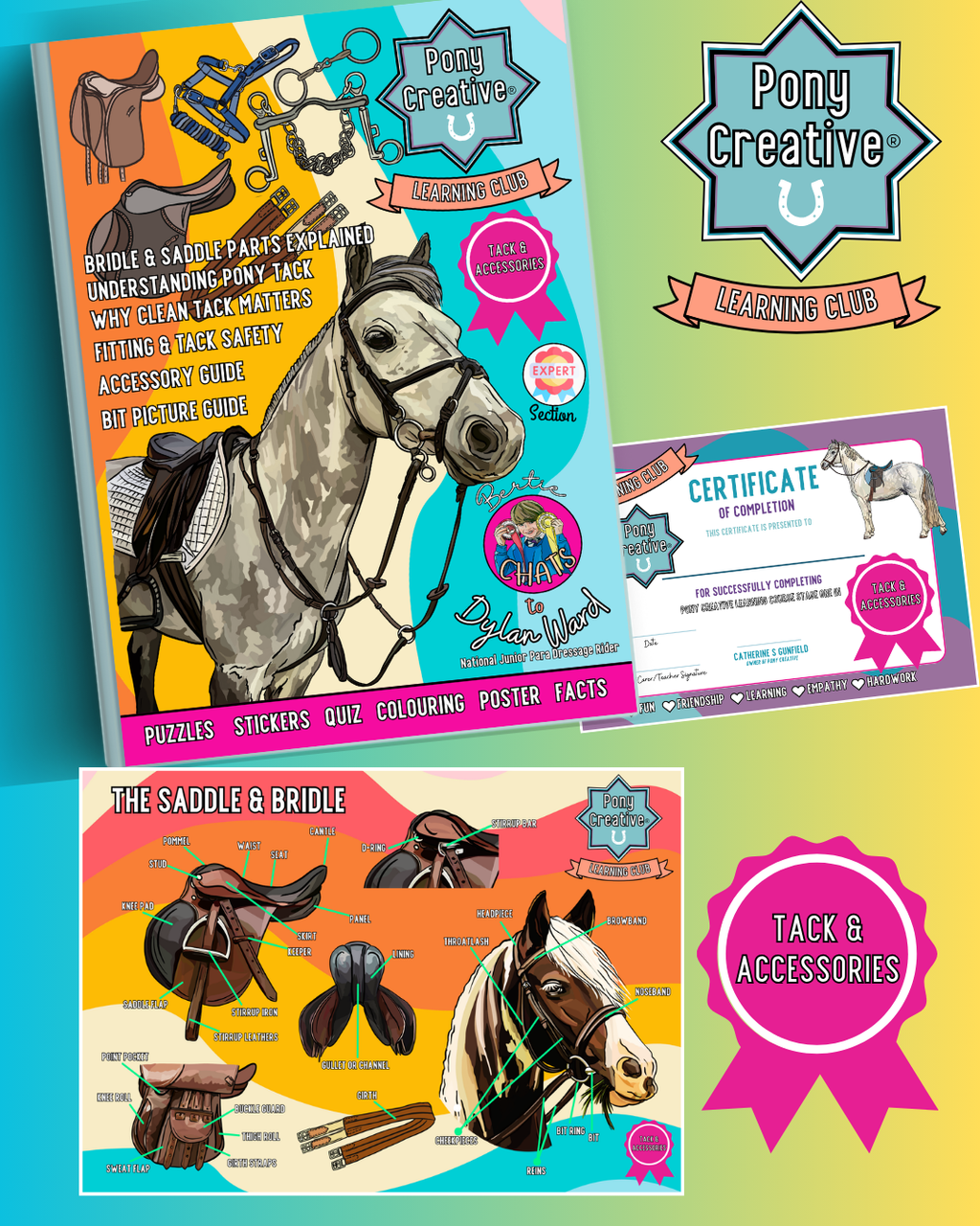 Pony Creative Learning Club: Previous Topics