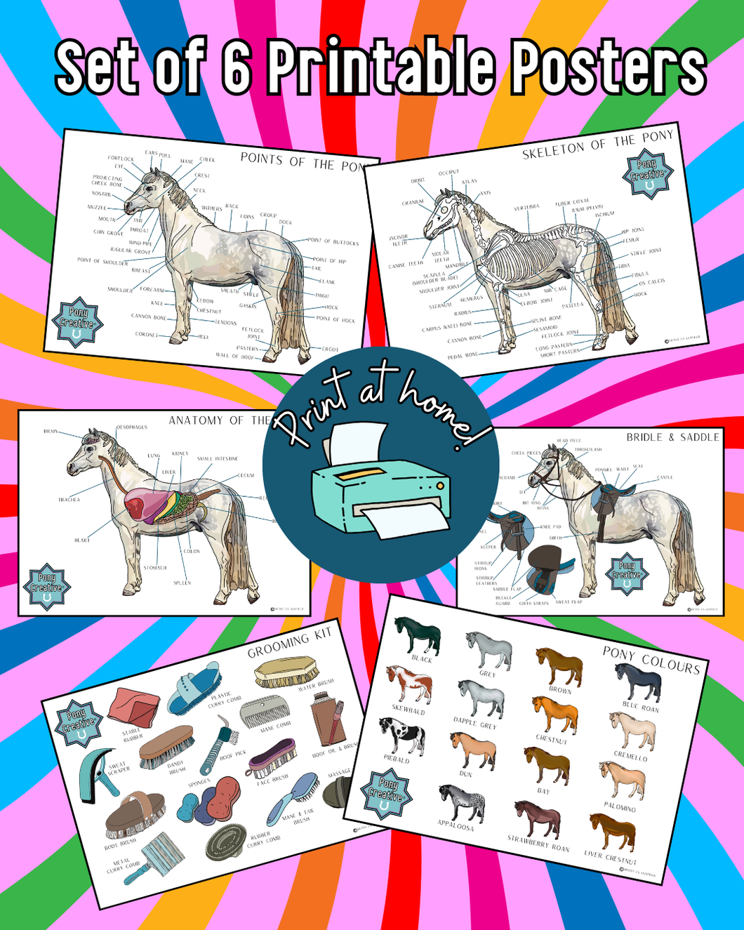 Pony Creative - Set of 6 posters (Print at Home)