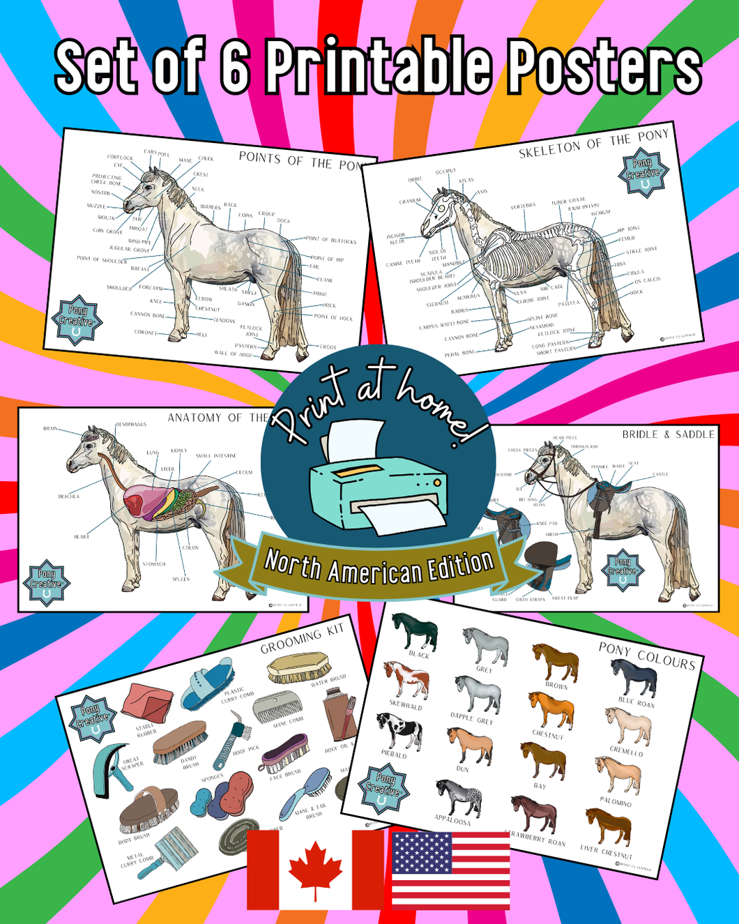 Pony Creative - Set of 6 posters (Print at Home) North American Edition