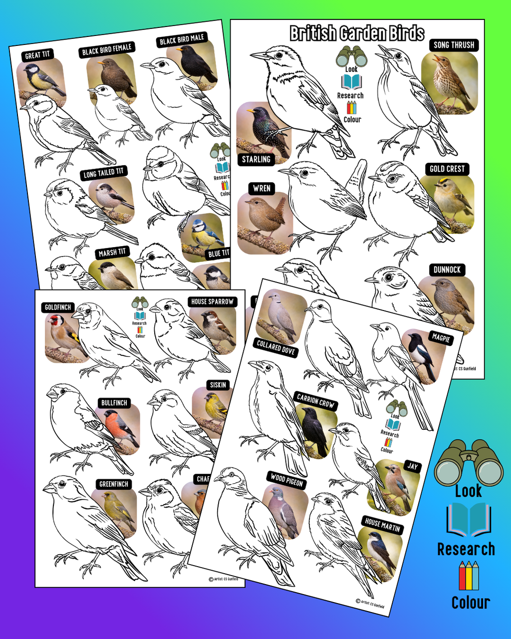 British Garden Birds Colouring sheets set of 4