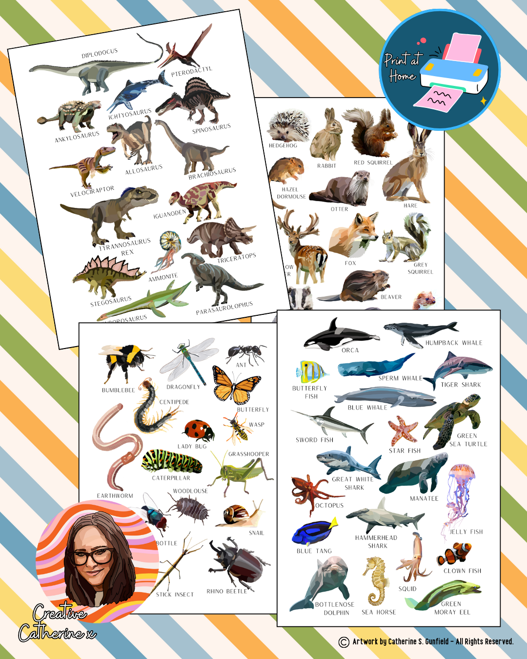 Learning Animal & Nature Poster Set