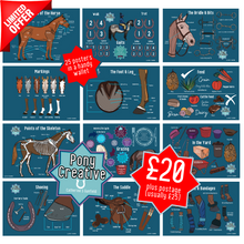 Load image into Gallery viewer, Pony Creative - Learning Posters pack of 25
