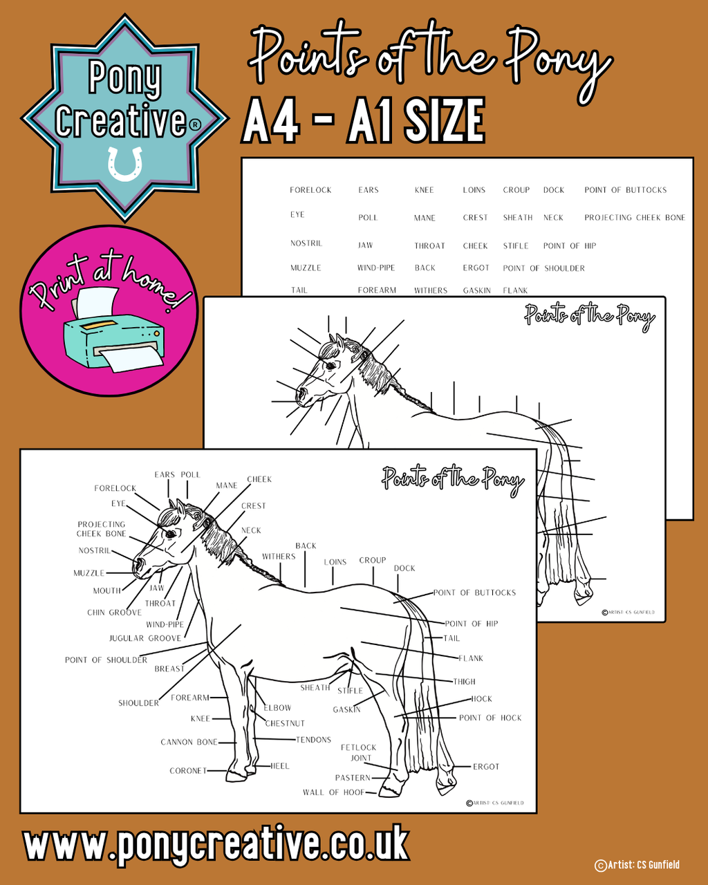 Pony Creative - Points of the Pony set A4-A1