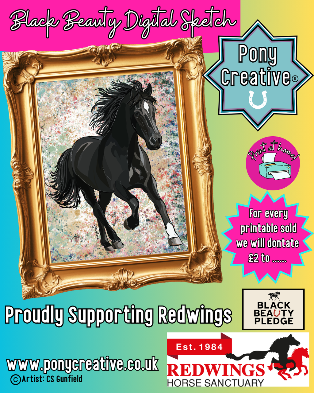Black Beauty Digital Sketch Illustration (Print at Home)