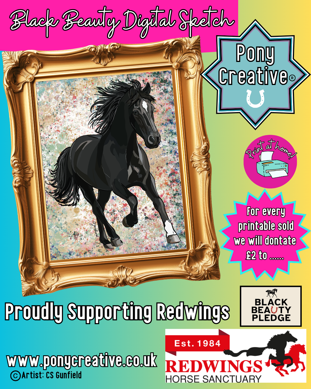 Black Beauty Digital Sketch Illustration (Print at Home)