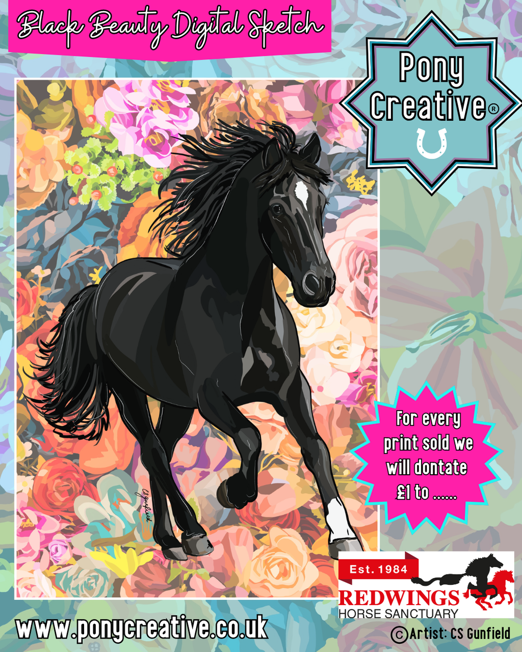 Black Beauty Digital Sketch Illustration A3 Printed