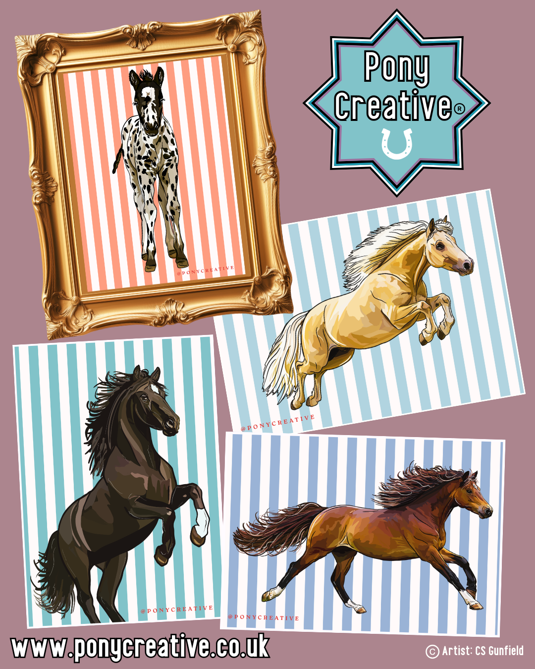 Set of Pony Illustrations