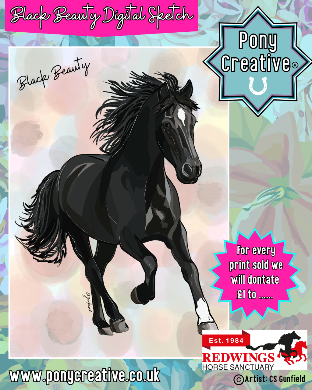 Black Beauty Digital Sketch Illustration A3 Printed