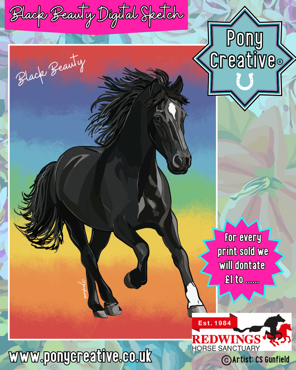 Black Beauty Digital Sketch Illustration A3 Printed