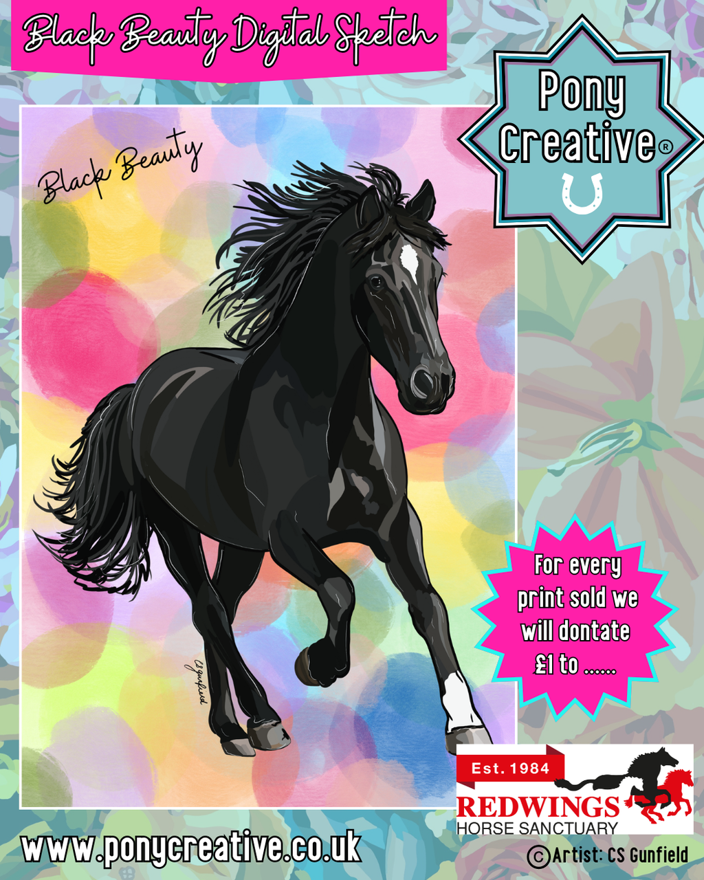 Black Beauty Digital Sketch Illustration A3 Printed