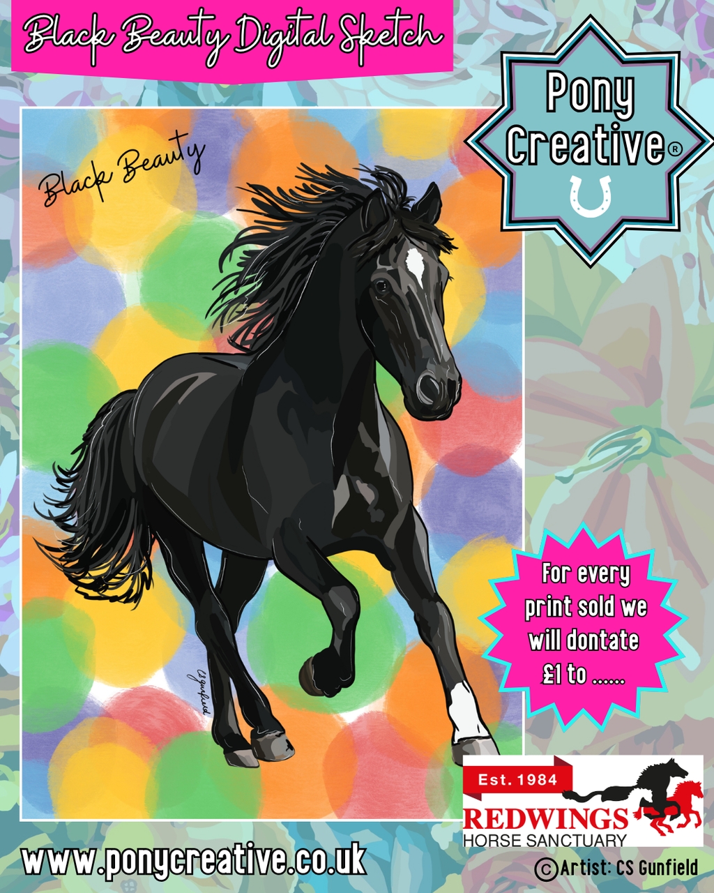 Black Beauty Digital Sketch Illustration A3 Printed