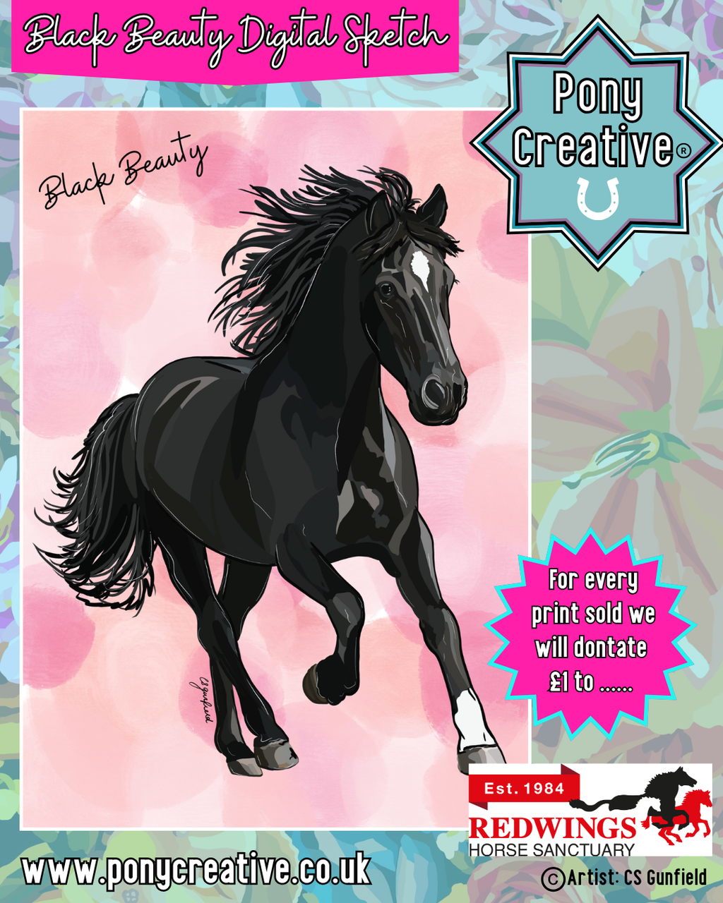 Black Beauty Digital Sketch Illustration A3 Printed