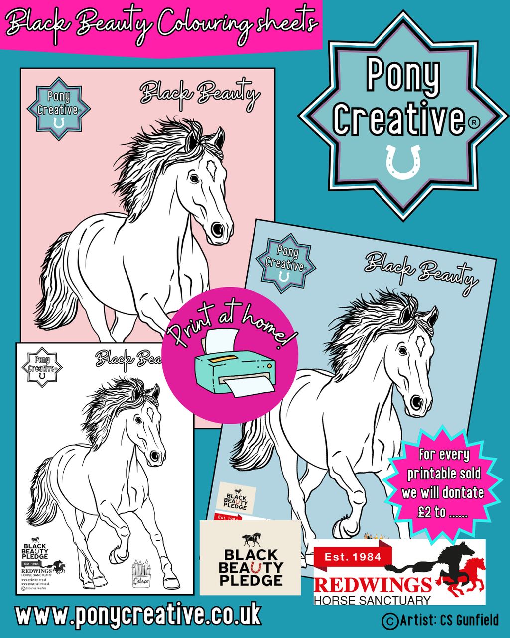 Black Beauty Colouring Sheet (Print at Home)