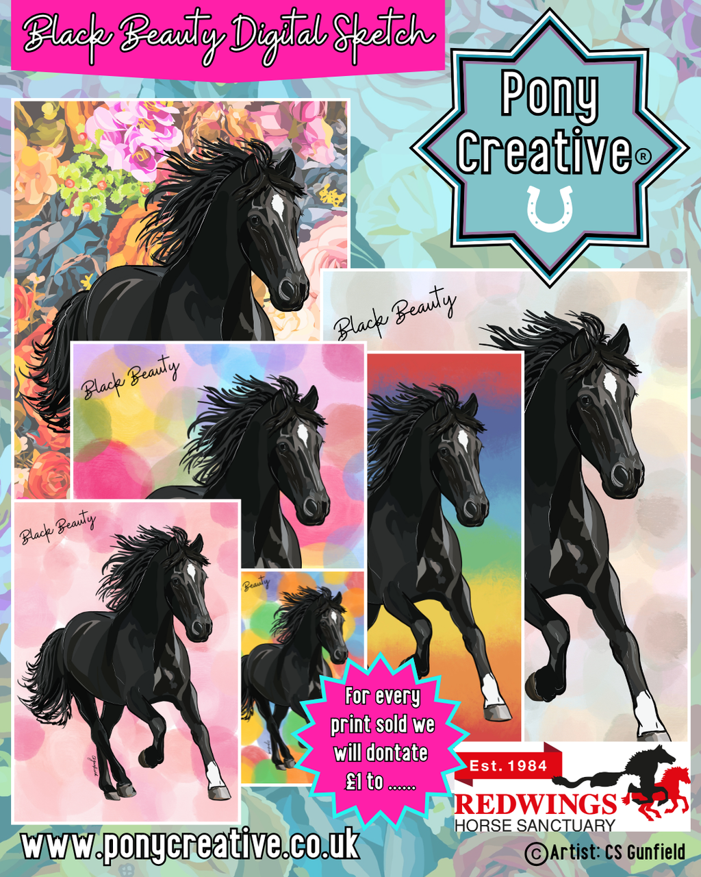 Black Beauty Digital Sketch Illustration A3 Printed