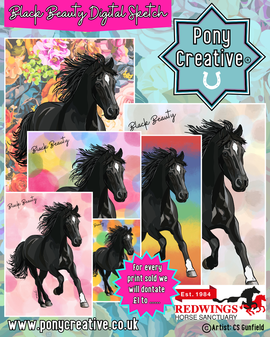 Black Beauty Digital Sketch Illustration A3 Printed