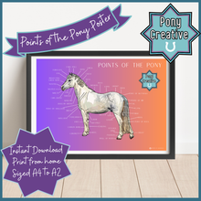 Load image into Gallery viewer, Pony Creative - Points of the Pony Poster
