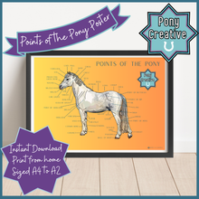 Load image into Gallery viewer, Pony Creative - Points of the Pony Poster
